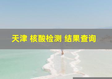 天津 核酸检测 结果查询